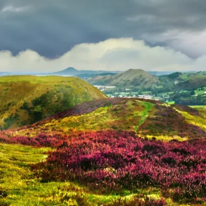 Long Mynd zoomed out - sheep - 7 foot 8 inches long - Image 3