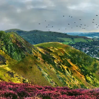 Long Mynd zoomed out - sheep - 7 foot 8 inches long - Image 5