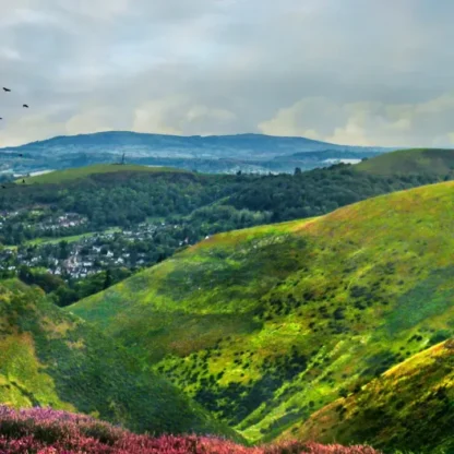 Long Mynd zoomed out - sheep - 7 foot 8 inches long - Image 6