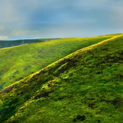 Long Mynd zoomed out - sheep - 7 foot 8 inches long - Image 7