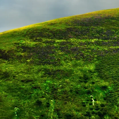 Long Mynd zoomed out - sheep - 7 foot 8 inches long - Image 8