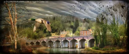 Coalbrookdale Viaduct with mallard