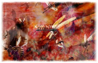 Stiperstones Winter Solstice - skeleton fairies - wasp